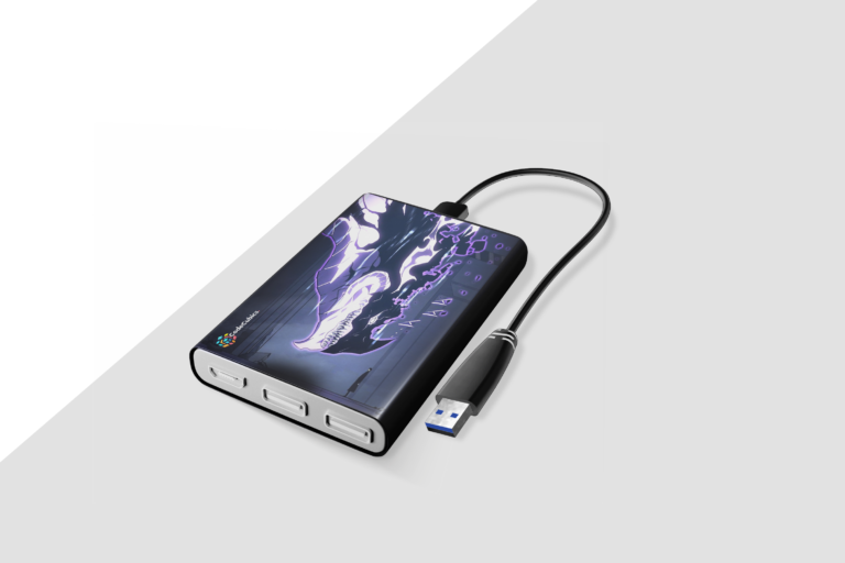 Power Bank 10